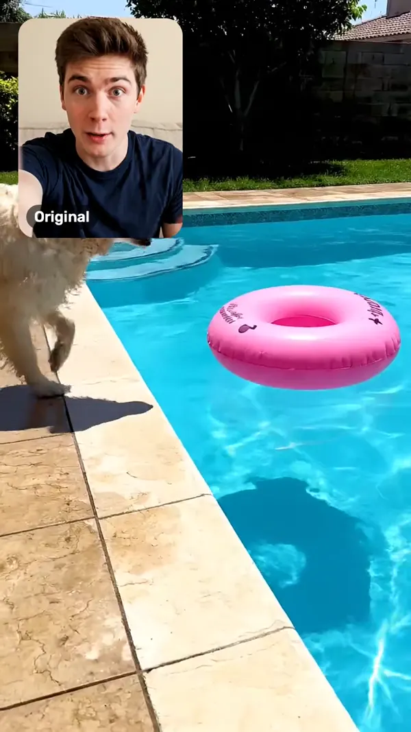 The same clip with a facecam reaction in the corner